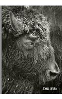 Ethi Pike - Black and White Bison