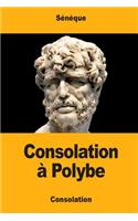 Consolation à Polybe