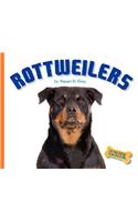 Rottweilers