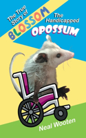 True Story of Blossom the Handicapped Opossum