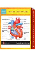 Heart (Advanced) Speedy Study Guides
