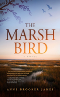 Marsh Bird