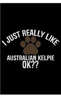 I Just Really Like Australian Kelpie Ok?