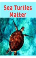 Sea Turtles Matter