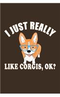 I Just Really Like Corgis, Ok?