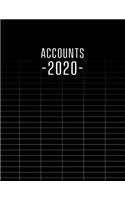 Accounting Ledger 2020