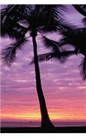 2020 Weekly Planner Palm Trees Sky Sunrise Sunset 134 Pages