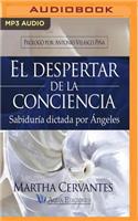 Despertar de la Conciencia (Narración En Castellano)