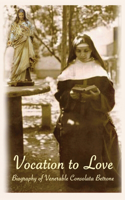 Vocation to Love: Biography of Venerable Consolata Betrone