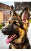 Smiling German Shepherd Puppy Lined Journal