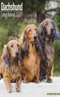Dachshund Long Haired 2021 Wall Calendar