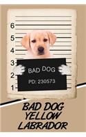 Bad Dog Yellow Labrador