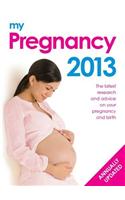My Pregnancy 2013