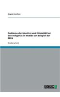 Probleme der Identität und Ethnizität bei den Indigenas in Mexiko am Beispiel der EZLN