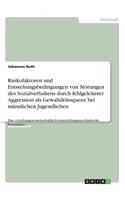 Risikofaktoren und Entstehungsbedingungen von Störungen des Sozialverhaltens durch fehlgeleiteter Aggression als Gewaltdelinquenz bei männlichen Jugendlichen