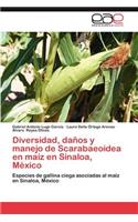 Diversidad, Danos y Manejo de Scarabaeoidea En Maiz En Sinaloa, Mexico