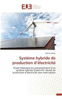 Système Hybride de Production D Électricité