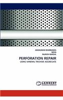 Perforation Repair
