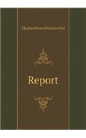 Report