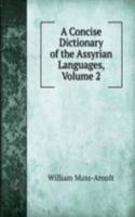 Concise Dictionary of the Assyrian Languages, Volume 2