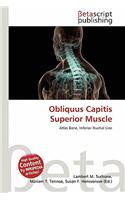 Obliquus Capitis Superior Muscle: (English)