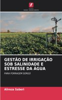 Gestão de Irrigação Sob Salinidade E Estresse Da Água