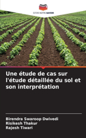 Une étude de cas sur l'étude détaillée du sol et son interprétation