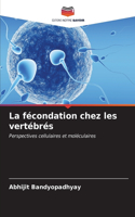 fécondation chez les vertébrés