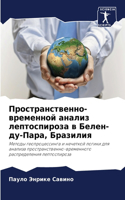 Пространственно-временной анализ лептос&