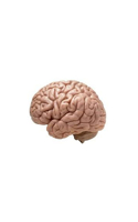 Head Space