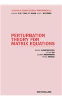 Perturbation Theory for Matrix Equations