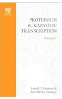Proteins in Eukaryotic Transcription