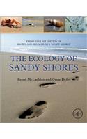 The Ecology of Sandy Shores