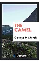 The Camel
