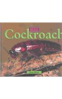 Cockroach