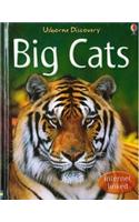 BIG CATS DISCOVERY SERIES