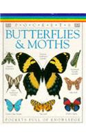 Butterflies and Moths