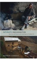 Intimate Indigeneities: Race, Sex, and History in the Small Spaces of Andean Life