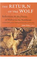 The Return of the Wolf: Reflections on the Future of Wolves in the Northeast