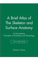 Brief Atlas of the Skeleton and Surface Anatomy to Accompany Principles of Anatomy and Physiology, 14e