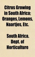 Citrus Growing in South Africa; Oranges, Lemons, Naartjes, Etc.