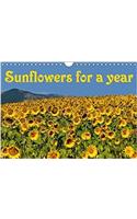 Sunflowers for a Year 2018
