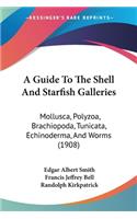 Guide To The Shell And Starfish Galleries