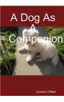 A Dog as a Companion