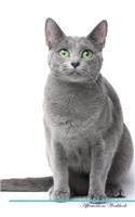Russian Blue Cat Affirmations Workbook Russian Blue Cat Presents