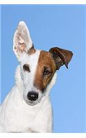 The Smooth Fox Terrier Dog Journal