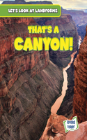 That's a Canyon!: (Let's Look at Landforms)