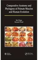 Comparative Anatomy and Phylogeny of Primate Muscles and Human Evolution