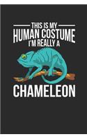 I'm Really A Chameleon