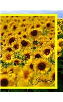 Journal: Sunflower Yellow Flowers Lined Notebook Journal For Notes Blank Paper Large ( 8.5 11 inches )100 pages